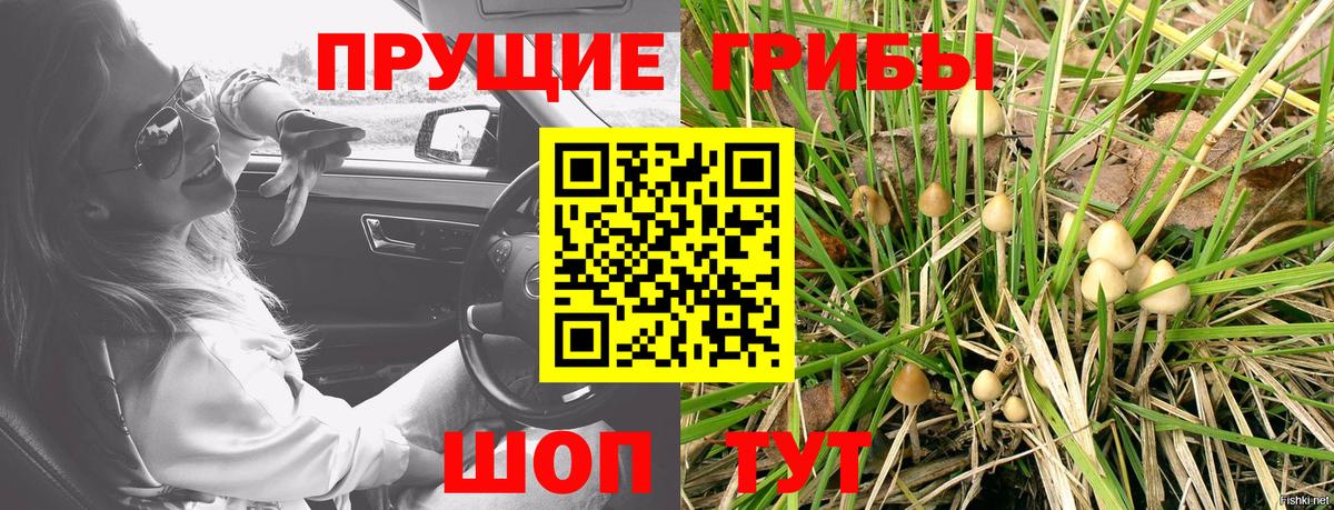 Нижнеудинск  Галлюциногенные грибы Psilocybe  Вход с VPN  Псилоцибиновые грибы GOLDEN TEACHER 