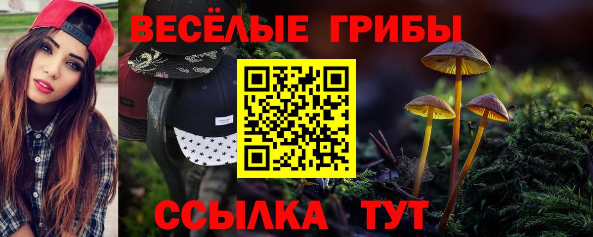 Псилоцибиновые грибы Cubensis Нижнеудинск